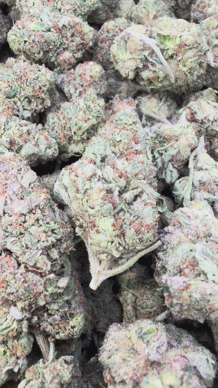 Load video: Kush Mintz - Bulk - Hybrid