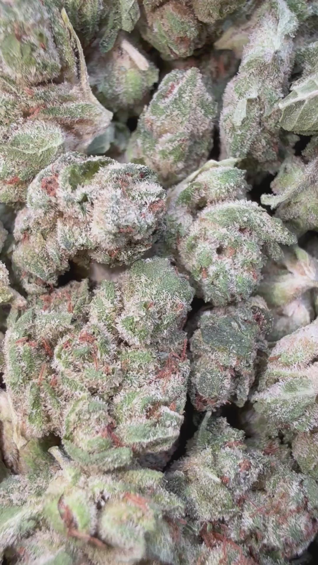 Load video: Elmers Glue Littles - Bulk Littles - Hybrid