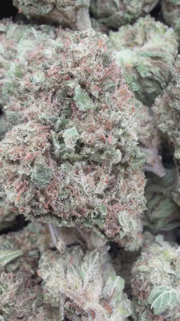 Cargar vídeo: Diesel Frost - A granel - Sativa