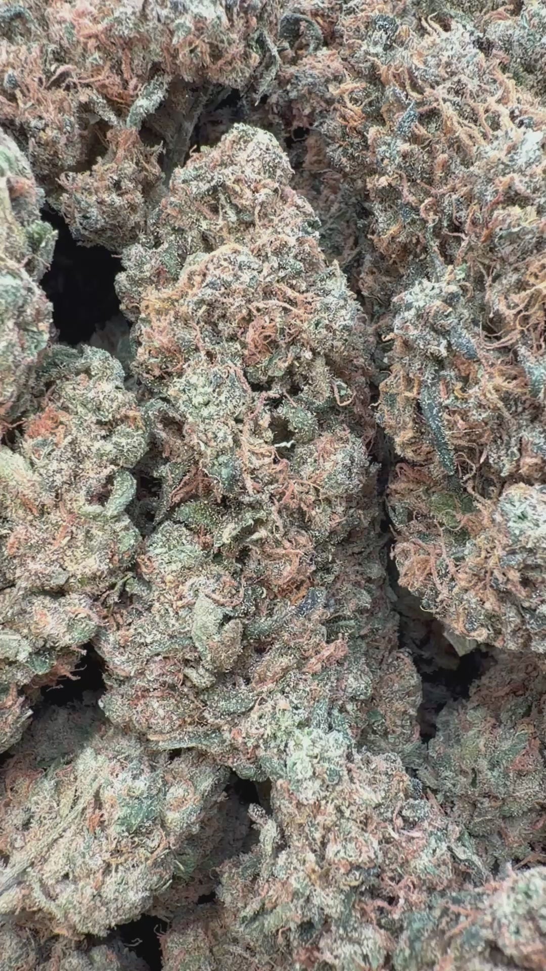 Cargar vídeo: Beyond Blue Dream - A granel - Sativa