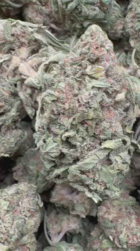 Cargar vídeo: Kush Mintz - A granel - Híbrido