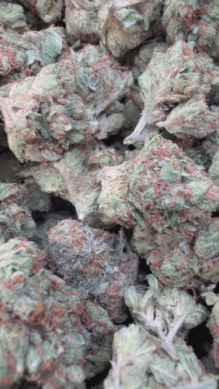 Load video: Bubba OG Mediums - Bulk Mediums - Indica
