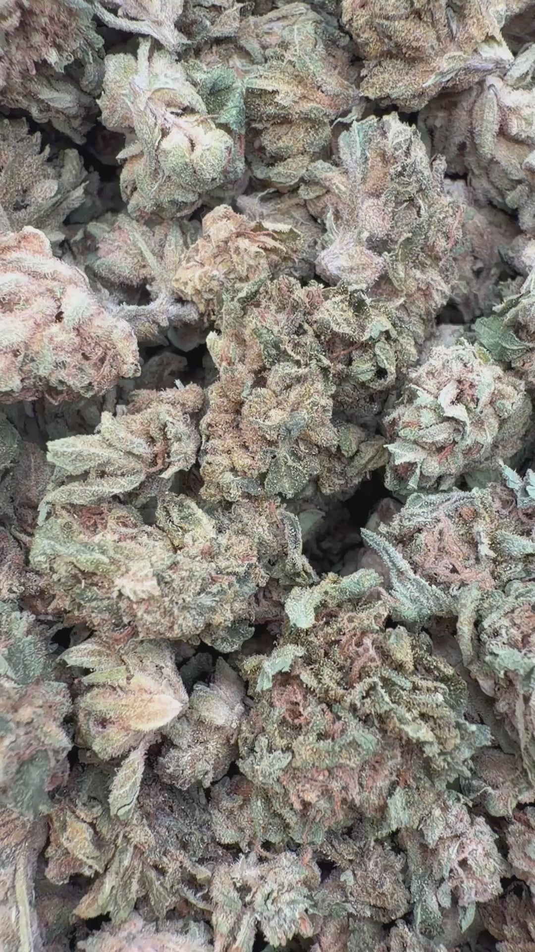 Load video: Gary Cherry Littles - Bulk Littles - Indica