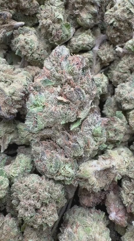 Load video: Mochi Gelato - Bulk - Indica