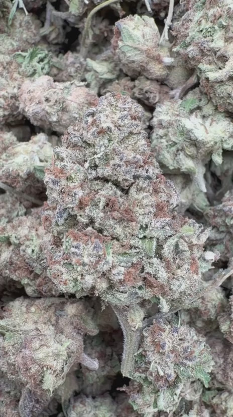 Cargar vídeo: Muffins de arándanos Littles - Littles a granel - Indica