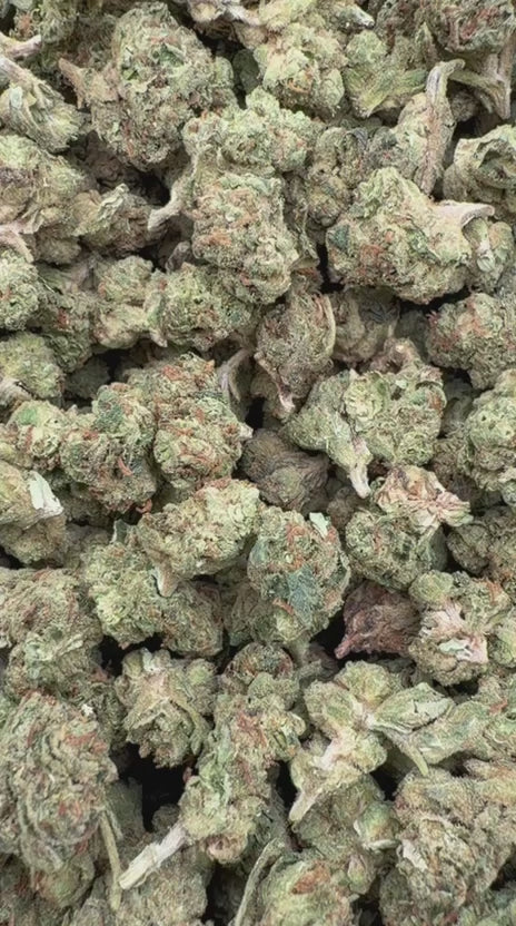 Load video: Face Off OG Littles - Bulk Littles - Indica