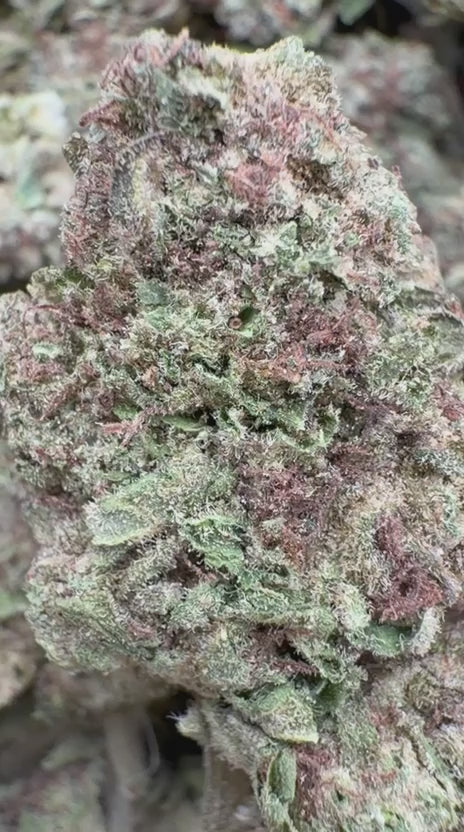 Load video: La Kush Cake - Bulk- Indica