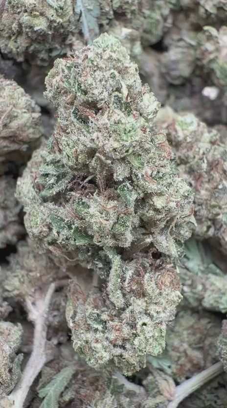 Cargar vídeo: Helado blanco - A granel - Indica