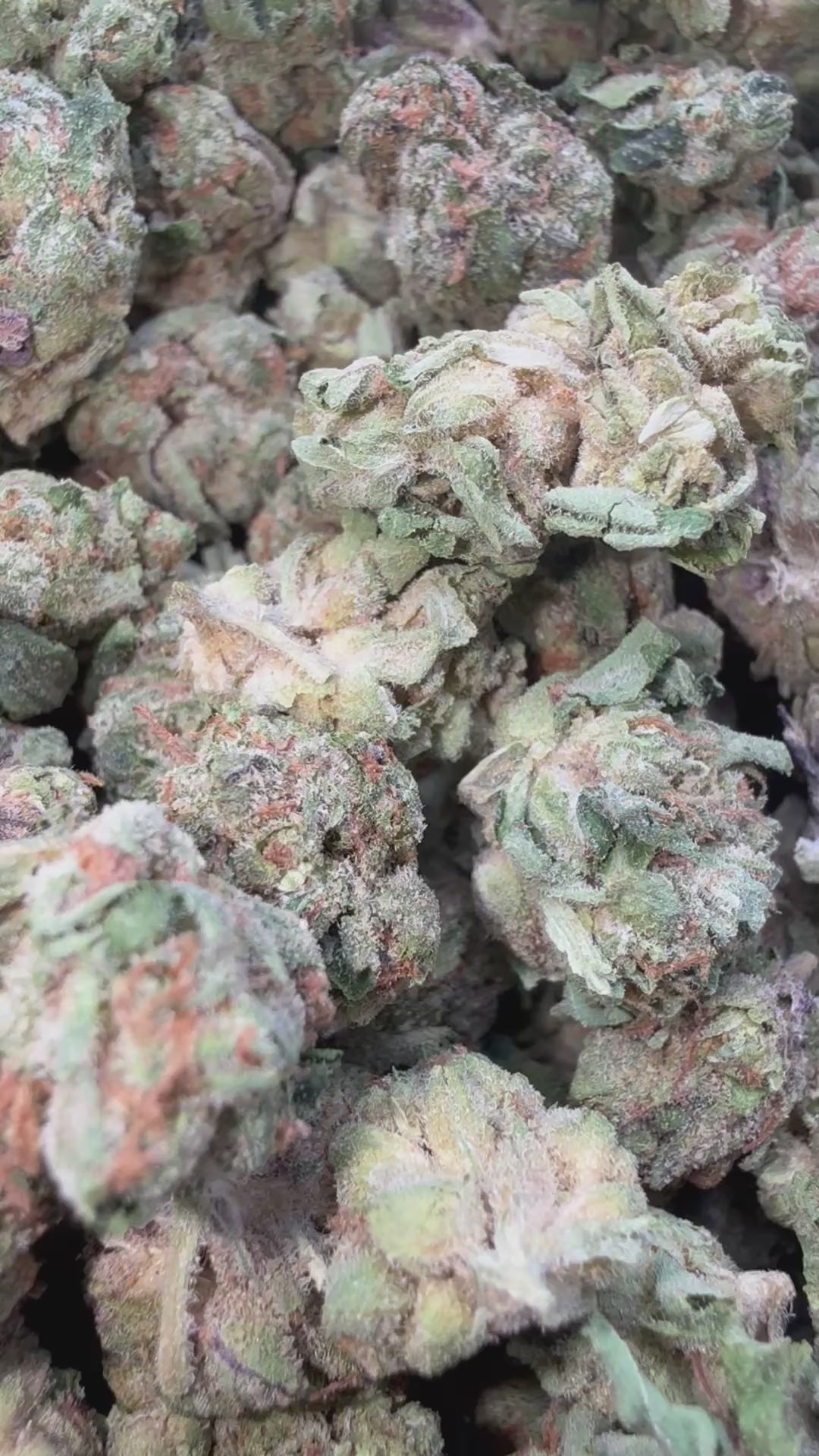 Load video: Diesel Frost Littles - Bulk Littles - Sativa