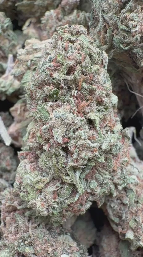 Cargar vídeo: Fruta Prohibida - A granel - Indica