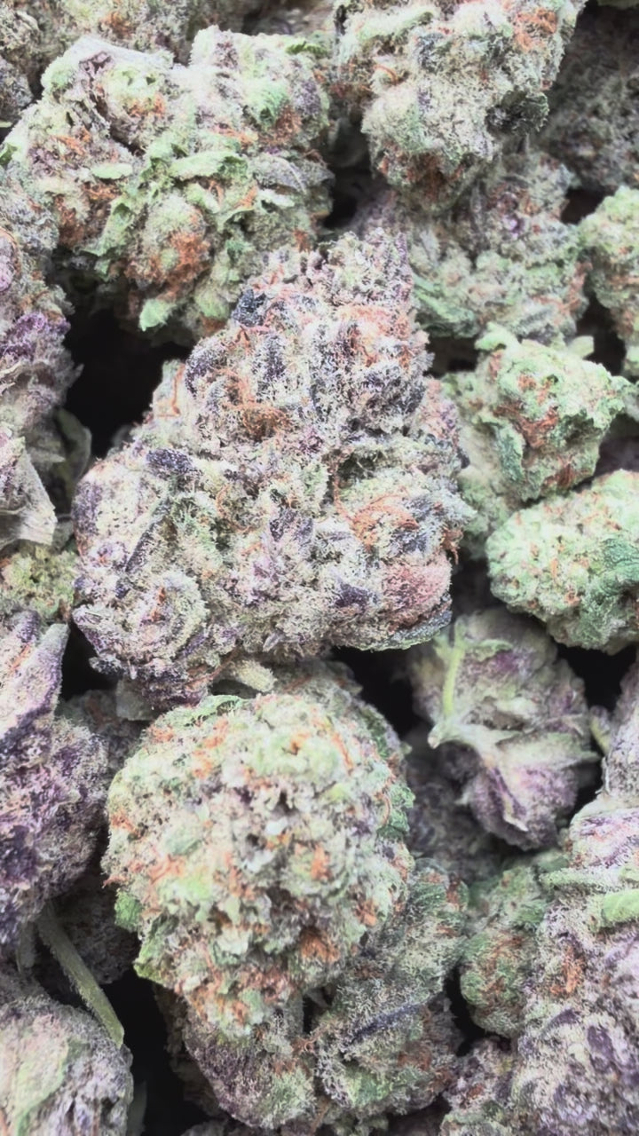 Load video: Purple Punch - Bulk - Indica