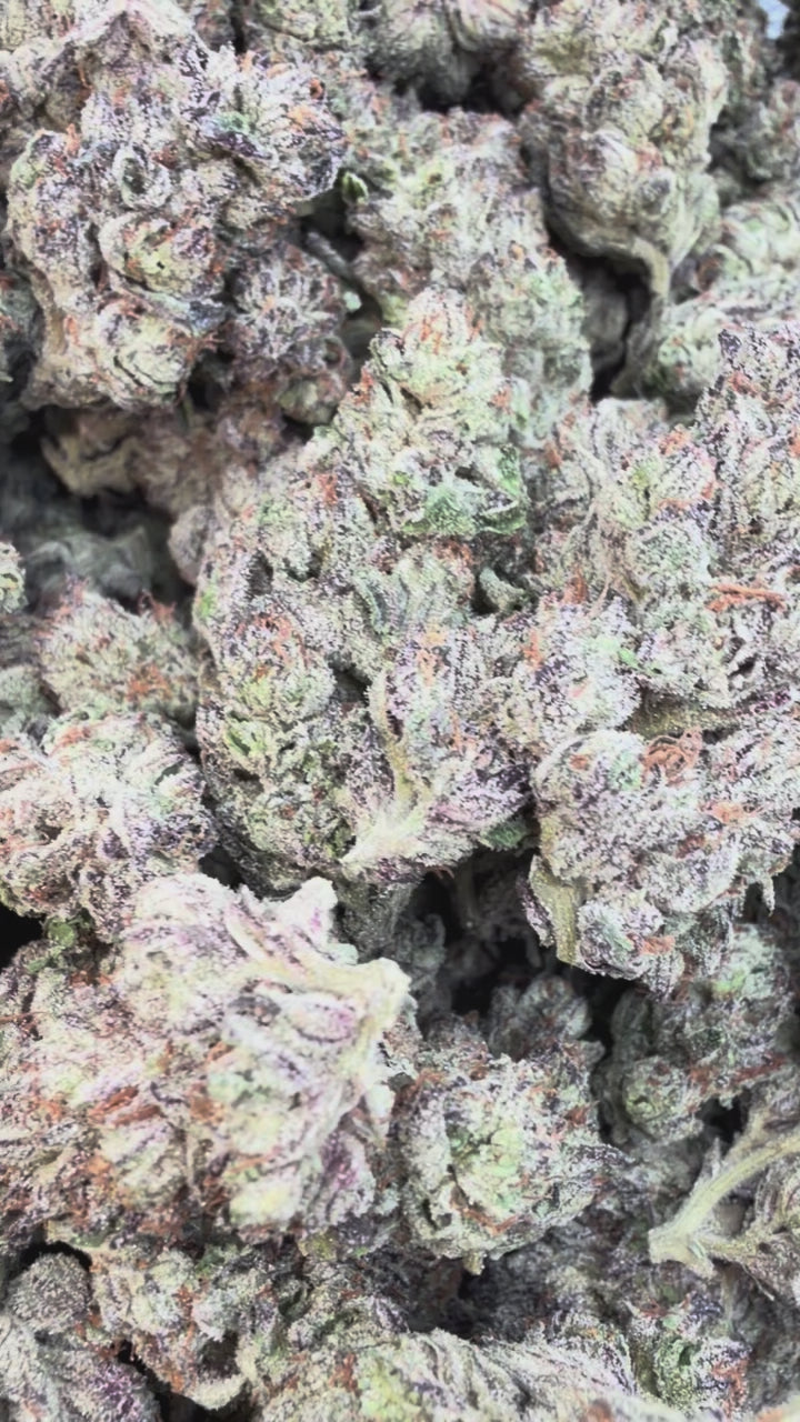 Load video: Candy Runtz - Bulk - Hybrid