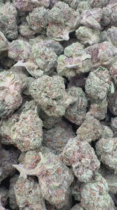 Load video: Chem Dawg Littles - Bulk Littles - Hybrid