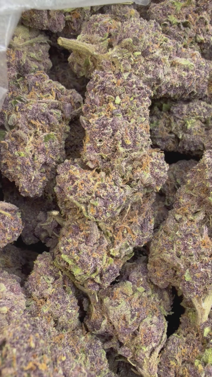Load video: Granddaddy Purple - Bulk - Indica