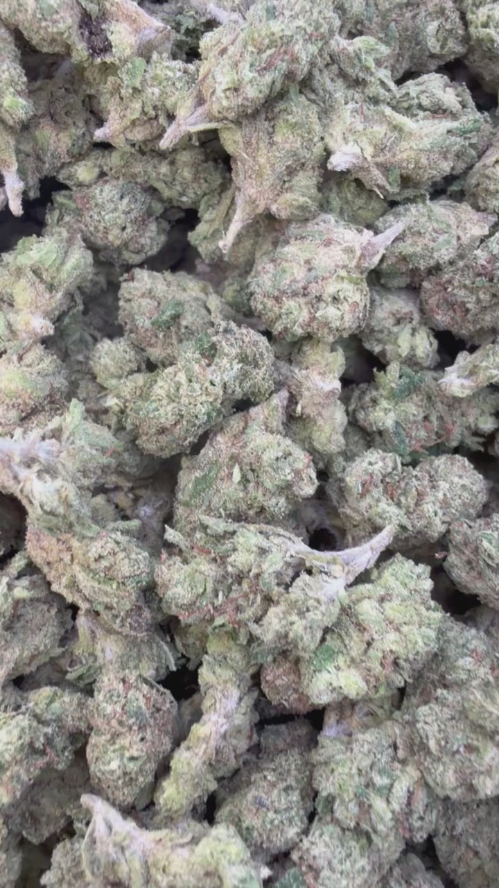 Load video: Blue Andes Littles - Bulk Littles - Indica