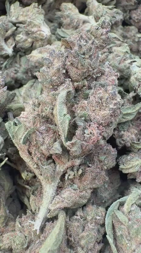 Load video: Lemon Fuel OG - Bulk - Hybrid