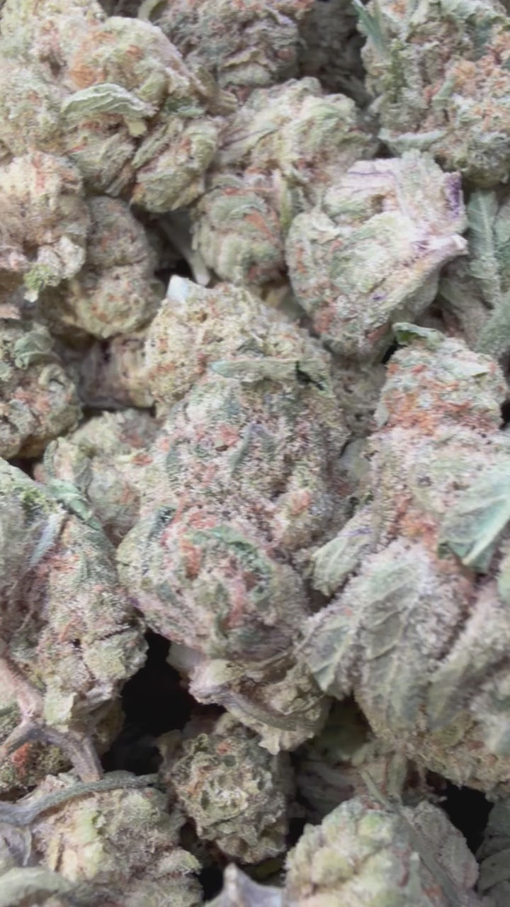 Load video: Super Lemon Haze Mediums - Bulk Mediums - Sativa