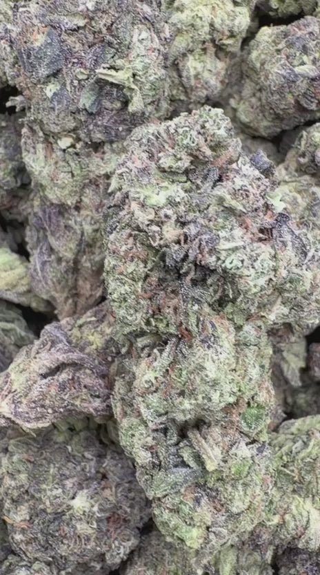 Load video: Purple Churro - Bulk - Indica