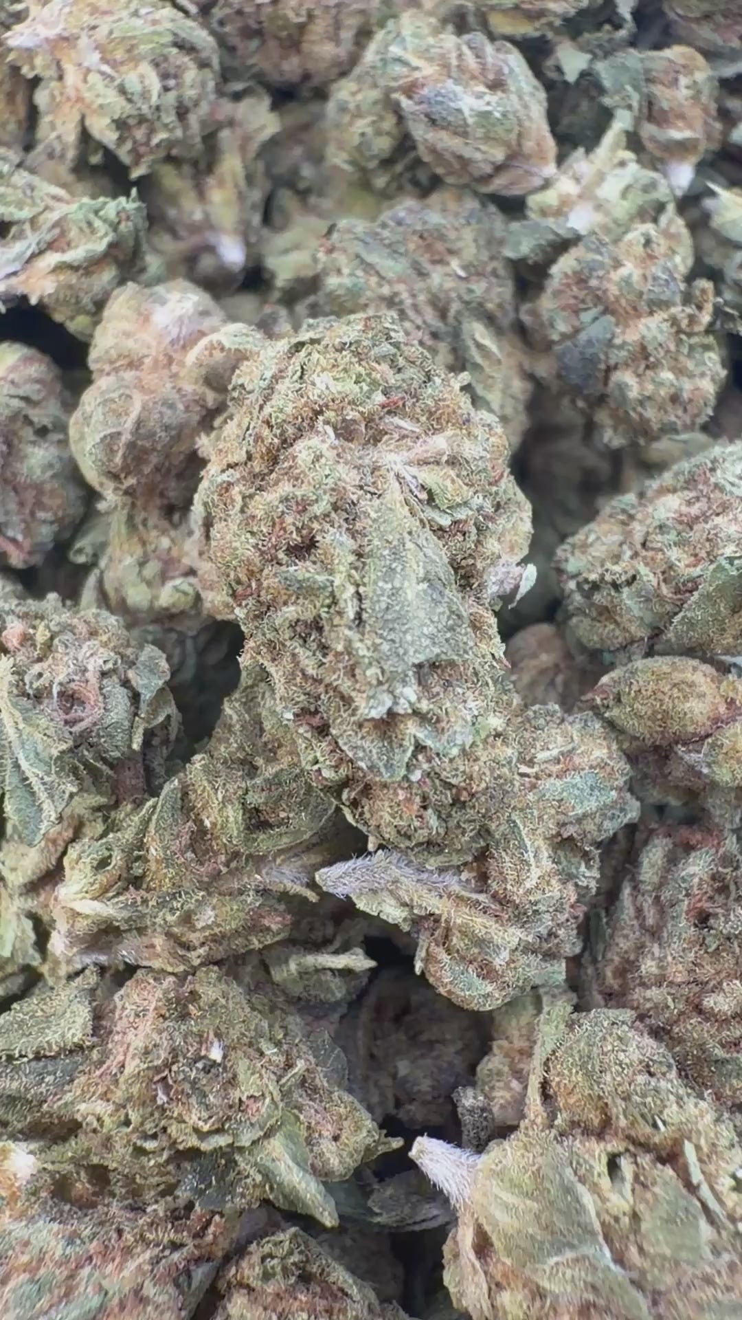 Load video: Acapulco Gold Littles - Bulk Littles - Sativa