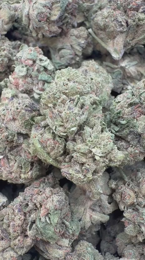 Load video: Permanent Marker - Bulk - Hybrid