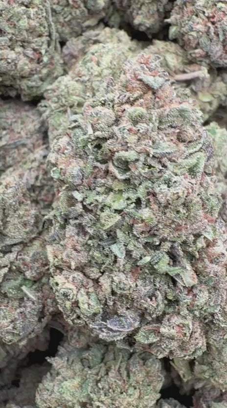 Cargar vídeo: Heir Heads - A granel - Indica