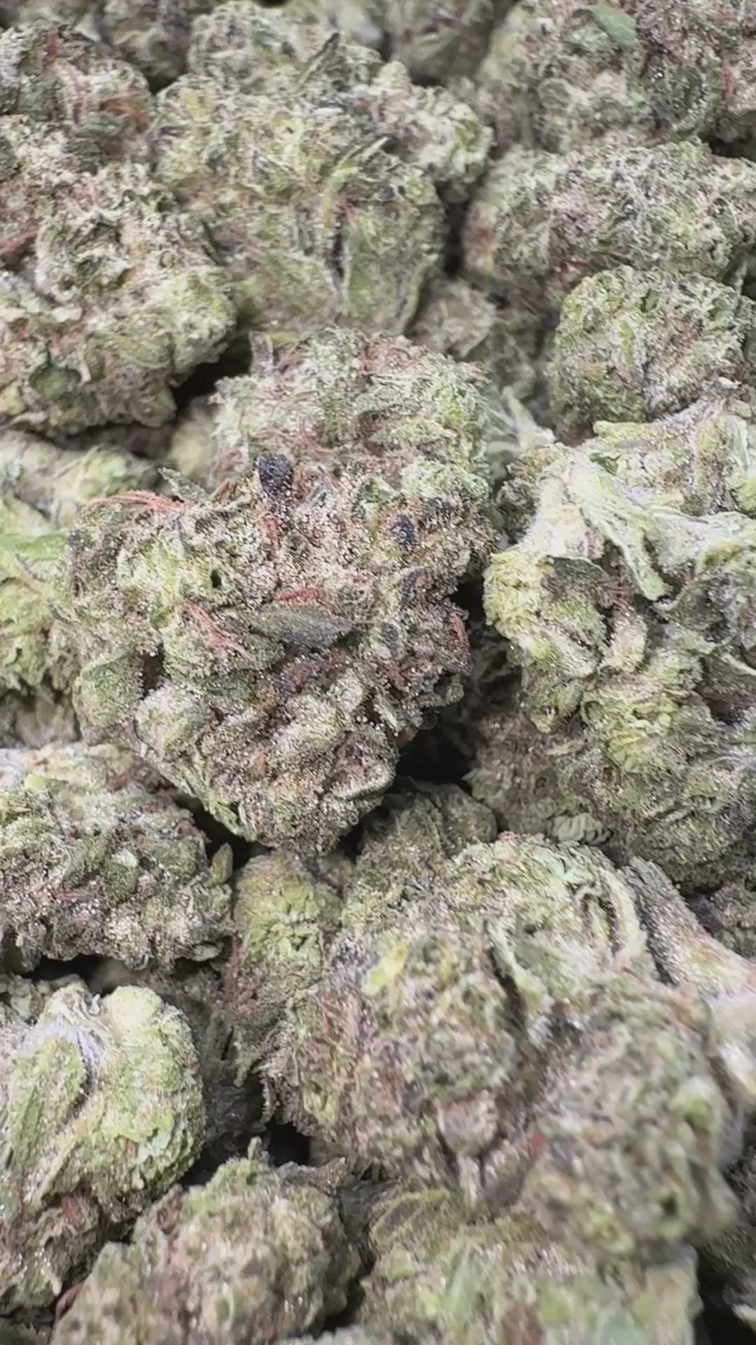 Load video: Hashburger - Bulk Littles - Indica