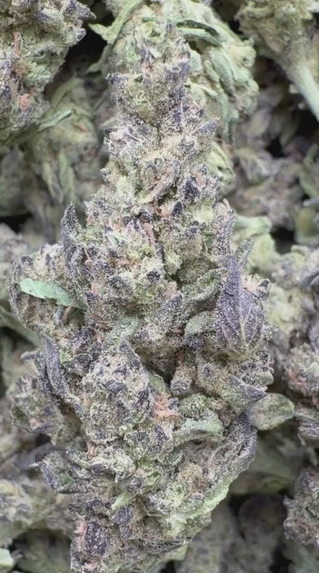 Load video: GMO - Bulk - Indica