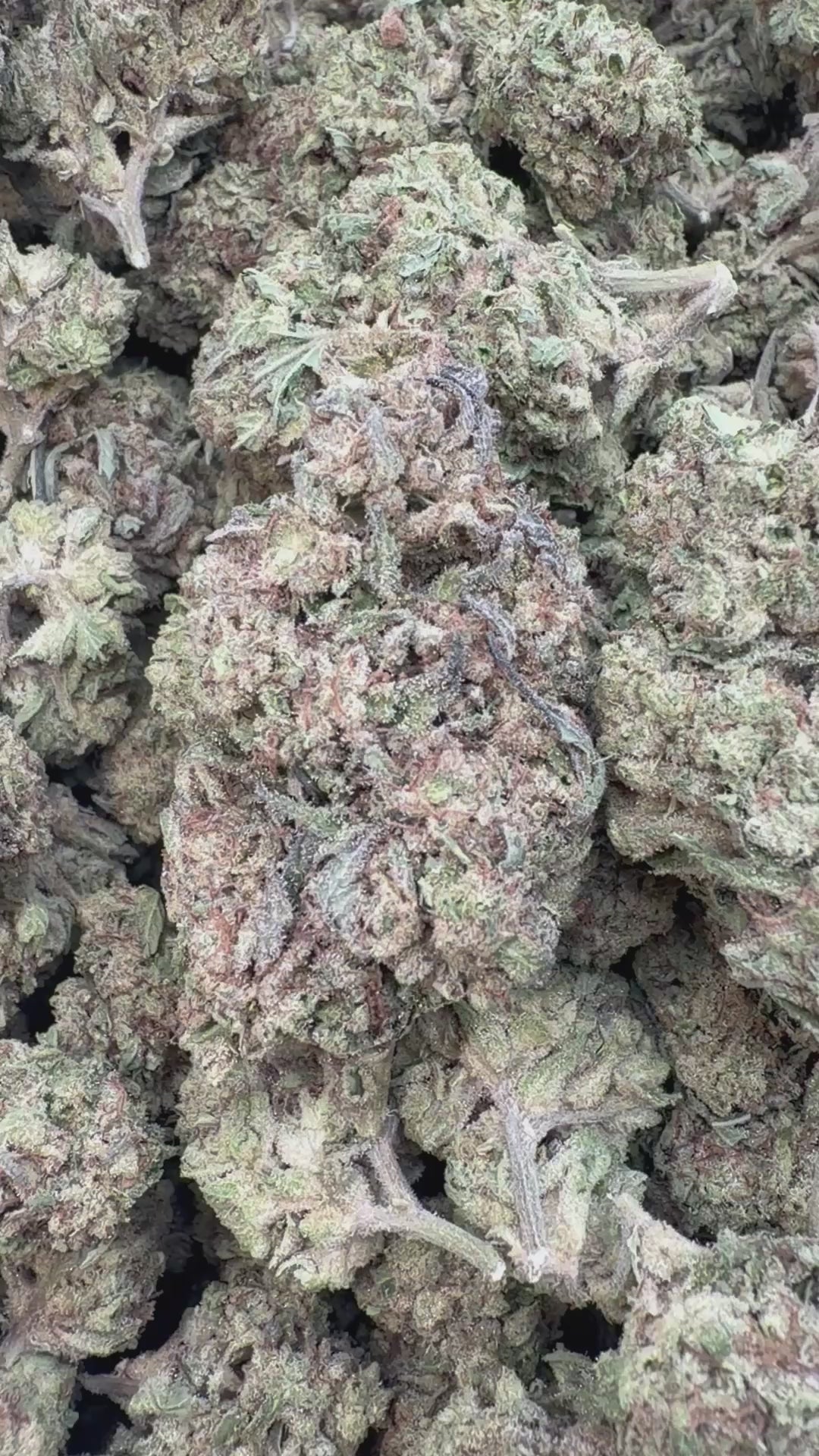 Load video: Rainbow Runtz - Bulk - Hybrid
