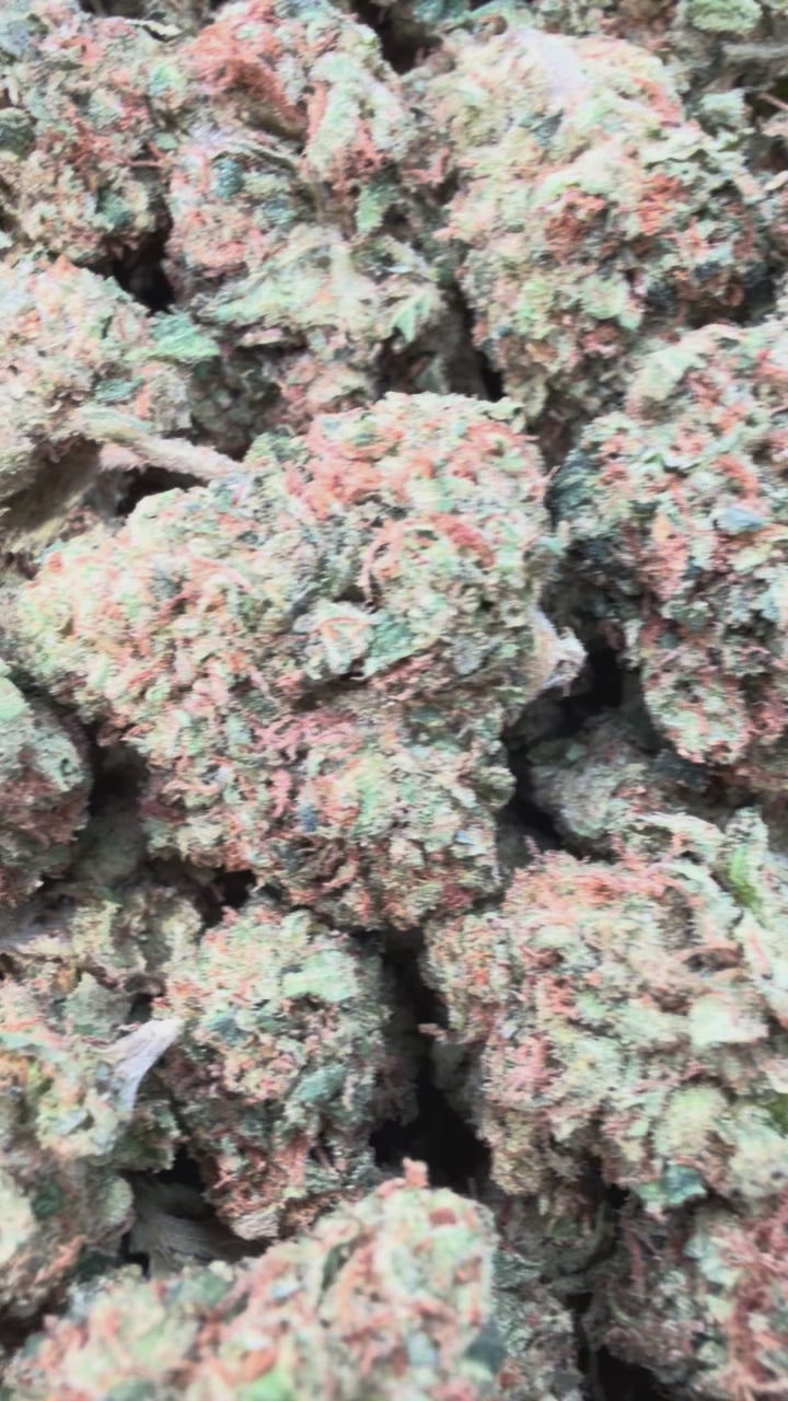 Load video: Citrus Kush Mediums - Bulk Mediums - Indica