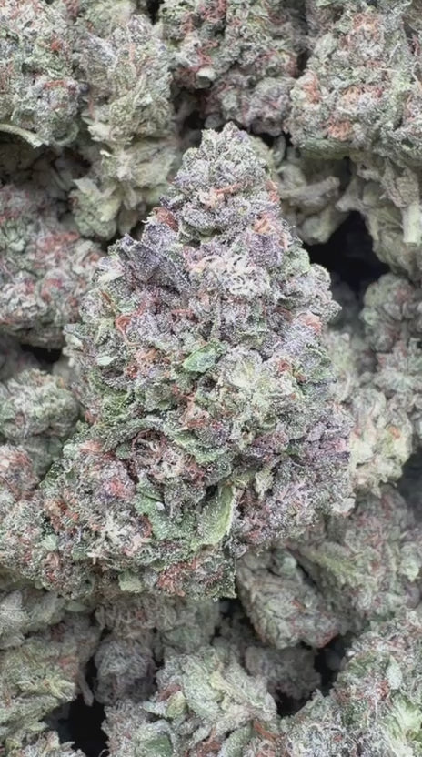 Load video: Wedding Cake - Bulk - Indica