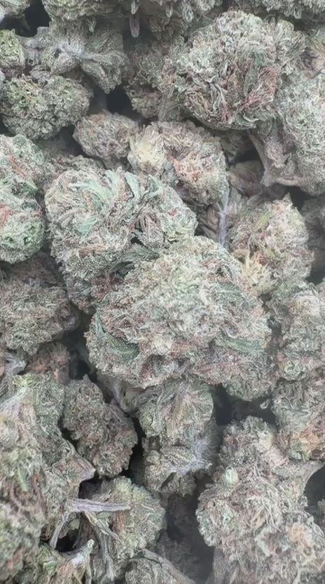 Load video: Caramel Apple Littles - Bulk Littles - Hybrid