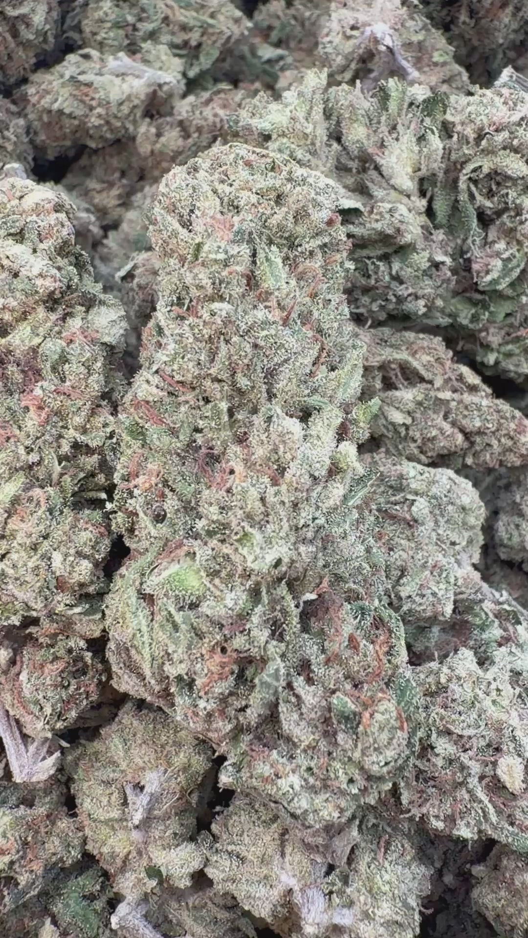 Cargar vídeo: Doble Sueño - A granel - Sativa