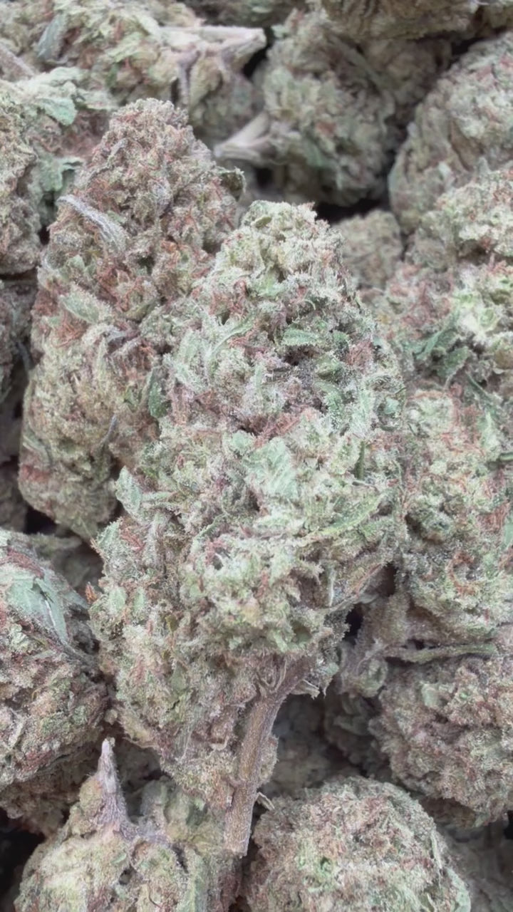 Load video: Space Runtz - Bulk - Hybrid