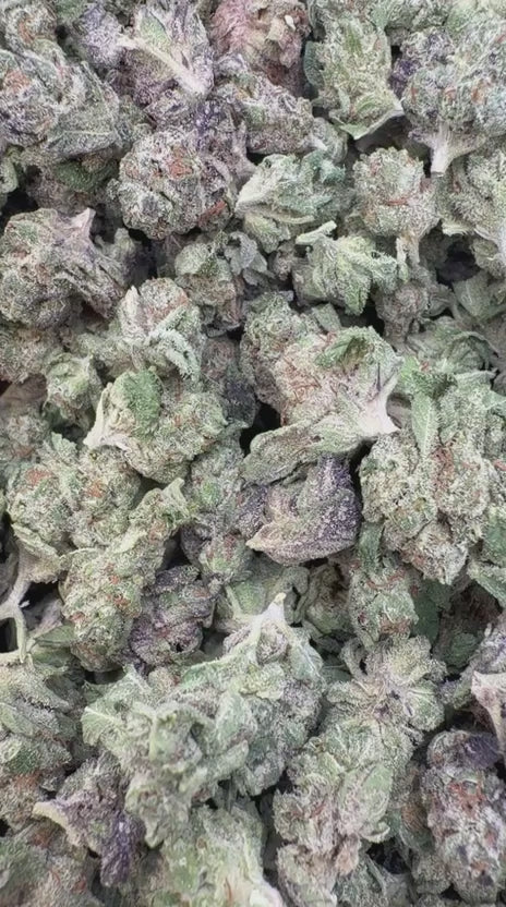 Load video: God's Gift Indoor Littles - Bulk Littles - Indica