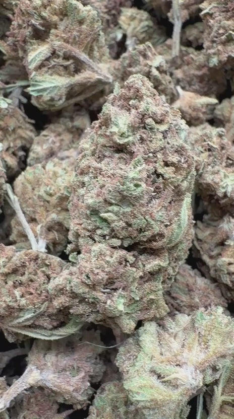 Load video: Super Lemon Haze - Bulk - Sativa