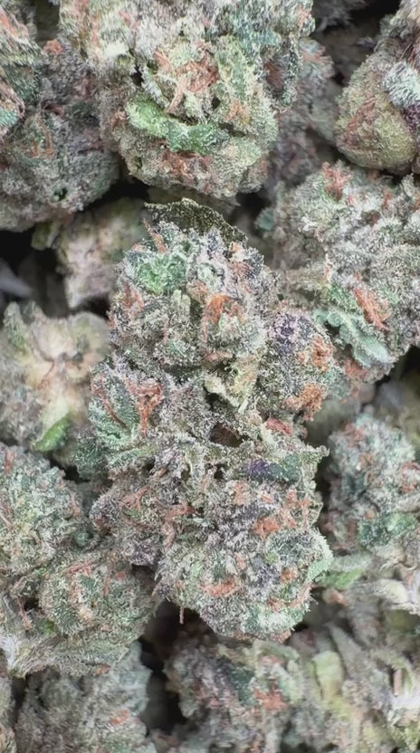 Load video: Kush Mintz Indoor Littles - Bulk Littles - Hybrid