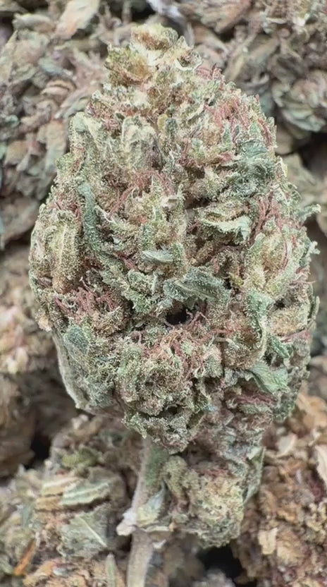 Load video: 24K Gold - Bulk - Indica