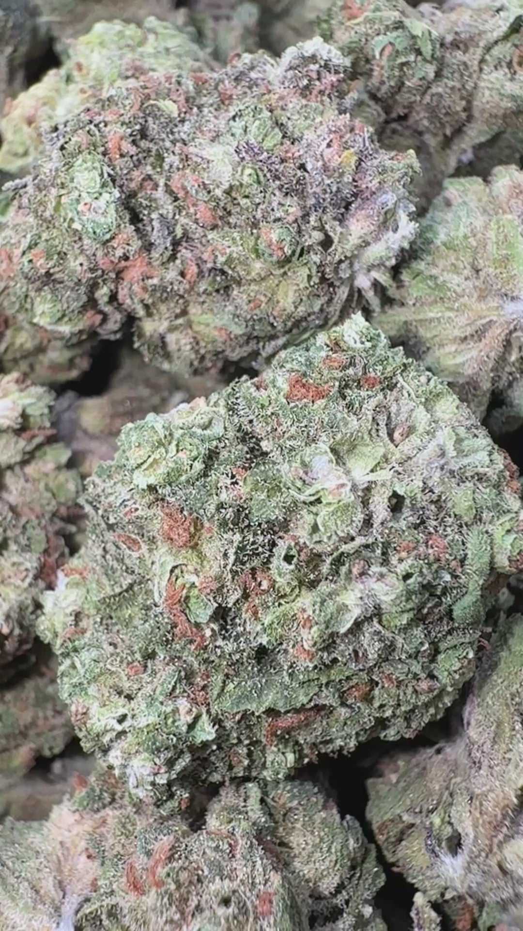 Load video: Burger Breath - Bulk - Indica
