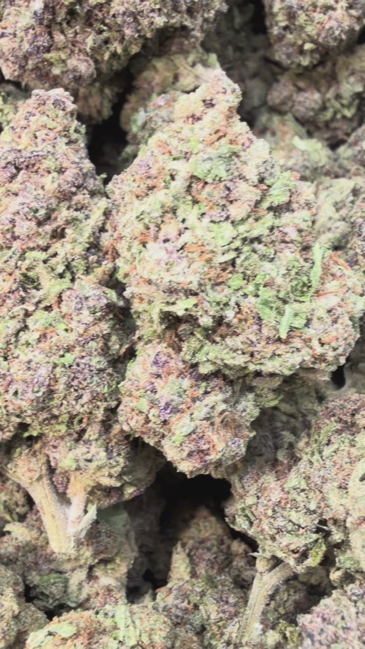 Load video: Papaya Runtz - Bulk - Hybrid