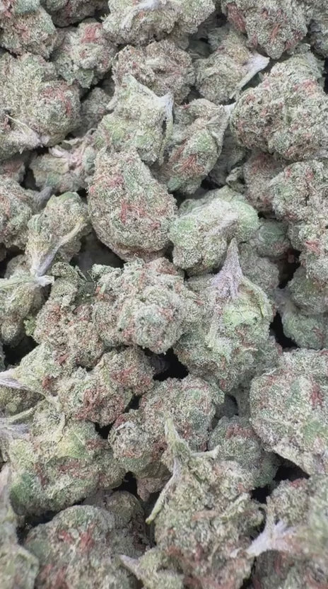 Cargar vídeo: Cherry Runtz - Bulk - Híbrido 