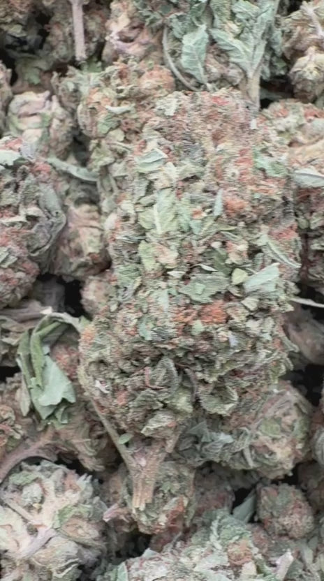 Cargar vídeo: Panqueques de arándanos - A granel - Indica