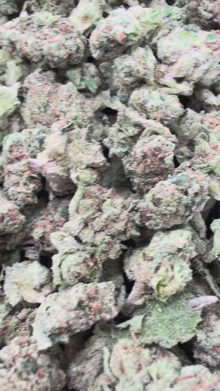 Load video: Lemon Cherry Gelato Littles - Bulk Littles- Hybrid