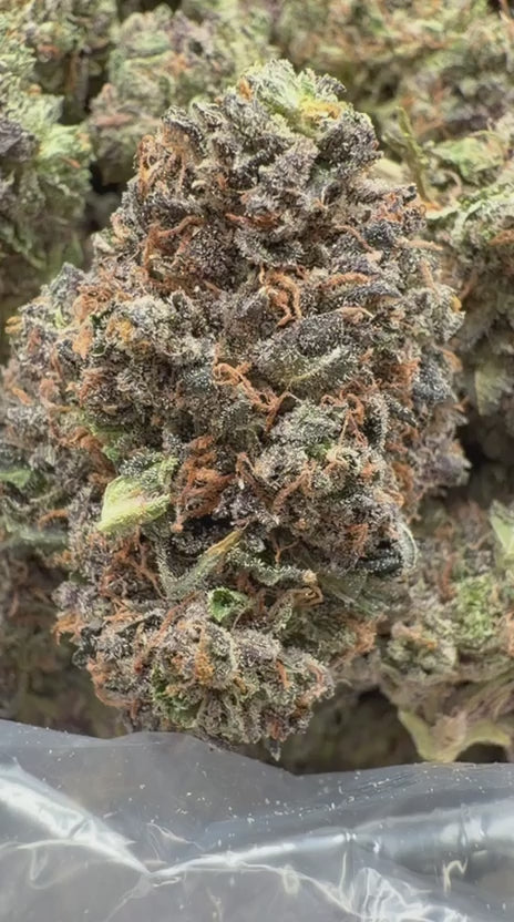 Cargar vídeo: Grape Zkittles - Bulk Smalls - Híbrido
