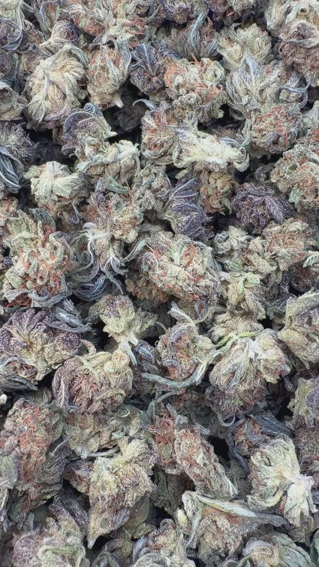 Cargar vídeo: Sombra Nocturna - A granel - Indica