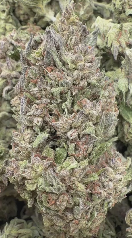 Cargar vídeo: Galletas de azúcar - A granel - Indica