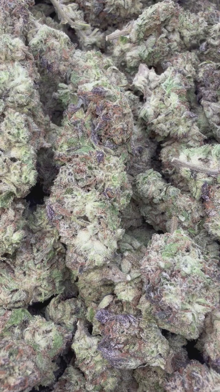 Load video: Hashburger - Bulk - Indica