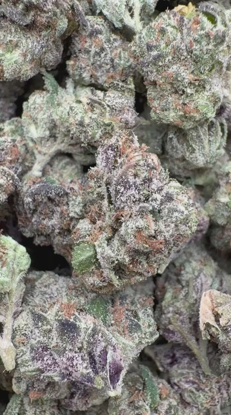 Cargar vídeo: Gelato de limón y cereza mediano - Medianos a granel - Híbridos