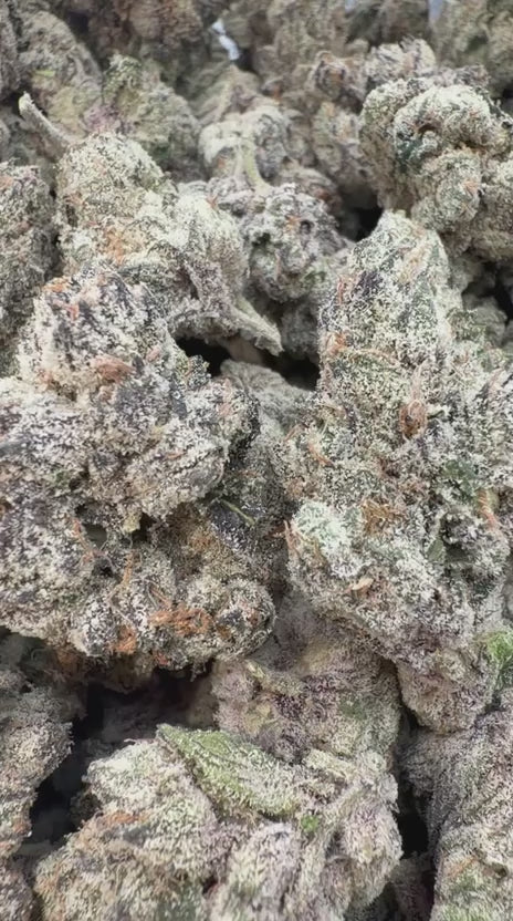 Cargar vídeo: Elite Boutique Exotics Cherry Poppers - Bulk - Hybrid