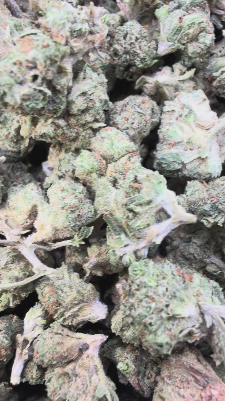 Load video: White Zkittlez Littles - Bulk Littles - Hybrid