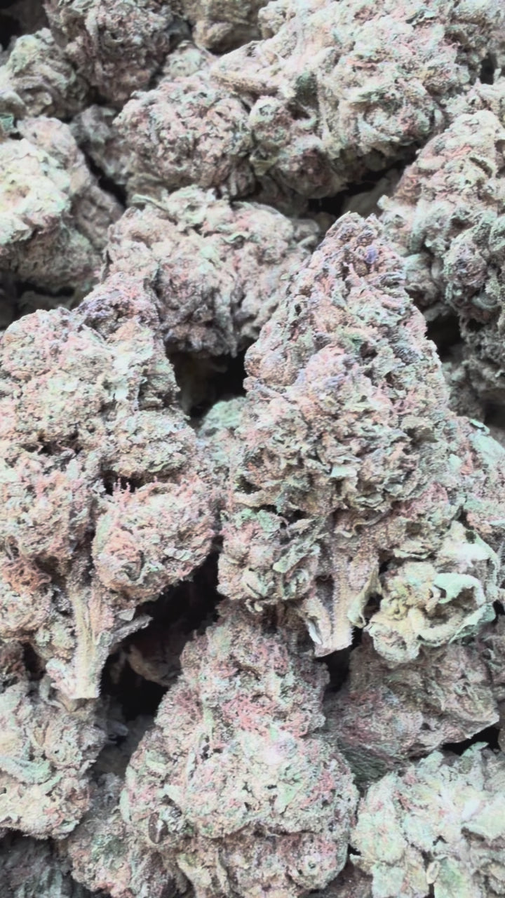 Load video: Gorilla Glue - Bulk - Indica